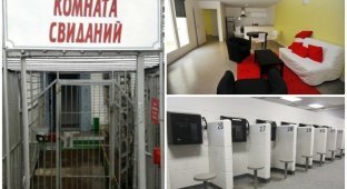 Как выглядят комнаты для свиданий преступников в тюрьмах разных стран (19 фото)