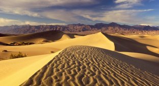 Интересные факты о пустыне (11 фото)