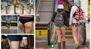 В метро - без штанов - 2018! Глобальный мировой флешмоб для самых смелых и безбашенных (25 фото + 1 видео)