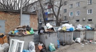 Реакция городских властей на свалку мусора во дворе (5 фото)