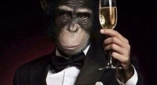 Шутки и мемы про оспу обезьян (13 фото)