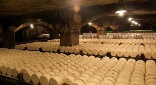 История французского сыра Рокфор (7 фото)