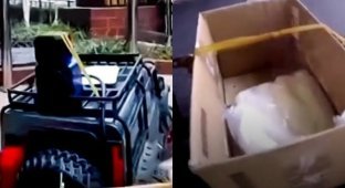 Чтобы не выходить из дома, китаянка посылает за продуктами игрушечную машинку с радиоуправлением (3 фото + 1 видео)