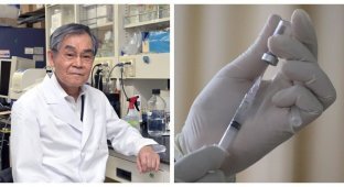 Учёные из Токио работают над "пожизненной" вакциной от коронавируса (5 фото)