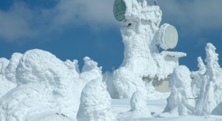 Снежные монстры. Японии (25 фото)