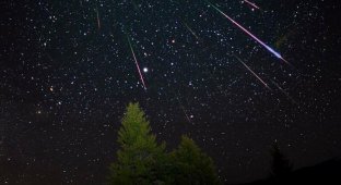 В небе пролетят Лириды: Что известно об одном из старейших звездопадов, наблюдаемых людьми (2 фото)