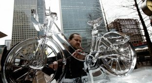 Ледяной велосипед (8 фото)