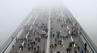 Невероятные фотографии показывают, как люди проходят по мосту Хохмозель в Германии (12 фото)
