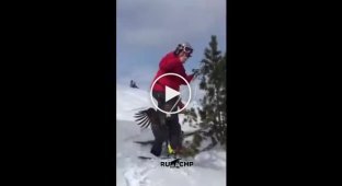 Жестокое нападение на лыжника