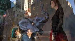 Рождественские витрины магазинов Нью-Йорка (12 фото)