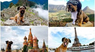 Оскар – пес-путешественник (28 фото)