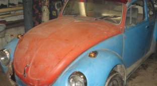 Второе рождение Volkswagen Beetle (24 фото)
