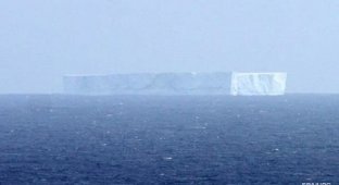От Антарктиды откололся айсберг размером с город (1 фото + 1 гиф)