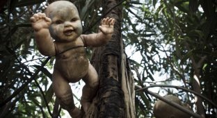 Небольшой мексиканский остров полностью "населен" страшными разваливающимися куклами (14 фото)