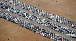 Тысячи автомобилей после урагана Сэнди (10 фото)