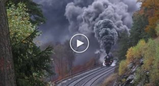 Залипательное видео проезжающего мимо поезда