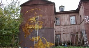 В Перми появился огромный портрет Юрия Шевчука из осенних листьев (3 фото)