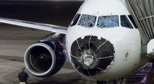 В Денвере совершил экстренную посадку поврежденный градом самолет (4 фото)