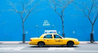 15 фактов о Нью-Йорке, которые заставят вас подумать дважды перед переездом туда (16 фото)