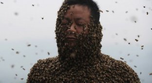 Китайца облепили более 460 тысяч пчёл (9 фото)