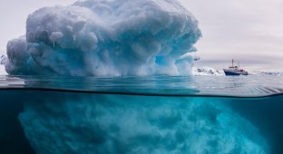 Антарктический полуостров (61 фото)