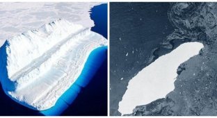 От Антарктиды откололся самый гигантский айсберг в мире (3 фото)