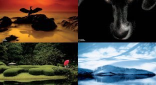 Фотошкола National Geographic: Использование цветовой палитры в снимках (10 фото)