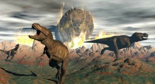 День, когда вымерли динозавры: ученые выявили детали последнего дня мезозоя (4 фото)