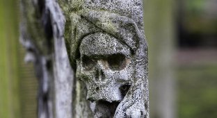 На необычном кладбище: Банхилл-Филдс в Лондоне (9 фото)