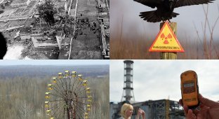 Чернобыль 25 лет спустя (39 фото)