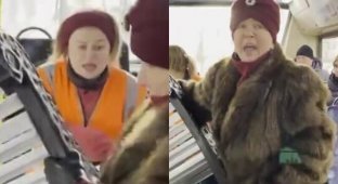 "Тетя в шубе из бобра сперла лавку на ура": в Питере дама попыталась провезти в автобусе скамью (6 фото + 1 видео)