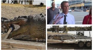 Убийцу 100-летнего крокодила оштрафовали на 10 000 долларов (4 фото)