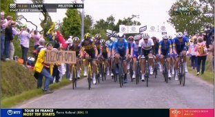 Руководство велогонки Тур де Франс подаст в суд на фанатку, вызвавшую завал пелетона (4 фото)