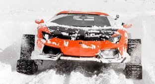 Суперкар Lamborghini Aventador получил комплект гусениц для комфортной езды по снегу (4 фото + 2 видео)