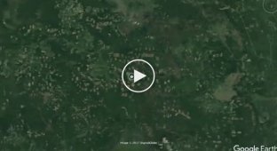 Вырубка леса в Сибири и ее масштабы