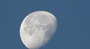 На Луне исчез рухнувший зонд. В районе места крушения пусто (2 фото)