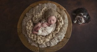 Австралийские фотографы воплотили чудо материнской любви (11 фото)