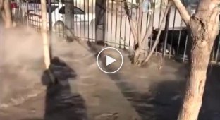 Авария на канализационном коллекторе в Хабаровске превратила несколько улиц в вонючие реки