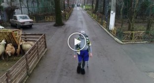 Глава зоопарка Одессы снял «новогоднее» видео