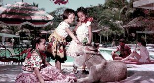 Мексиканская Ривьера 1950-х: как выглядел знаменитый курорт Акапулько, прежде чем стал полем битвы наркодиллеров (34 фото)