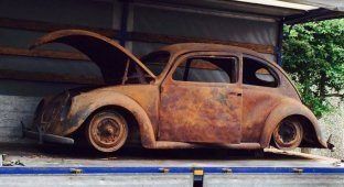 Самый старый в мире Volkswagen Beetle полностью сгорел, но был восстановлен (19 фото)