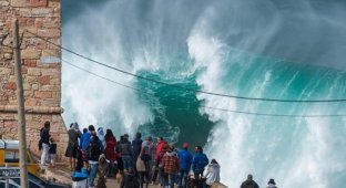 Бесстрашные покорители самых высоких волн (7 фото)