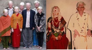Самая большая семья альбиносов (5 фото)