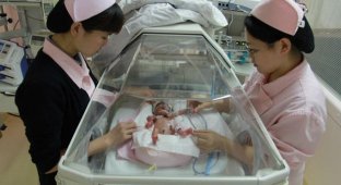 Китайские бабушки рожают мини-младенцев (6 фото)