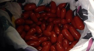 Закатка томатного соуса по-американски (22 фото)
