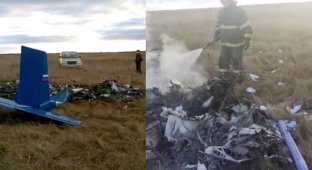 Легкомоторный самолет потерпел крушение под Москвой. Два человека погибли (3 фото + 1 видео)