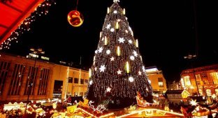 Праздник приближается: самые красивые рождественские елки-2011 (27 фото)