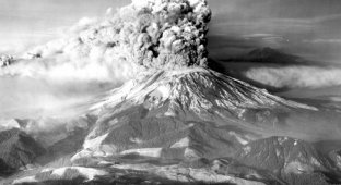 Вулкан Св. Елены – 30 лет со дня извержения (37 фото)