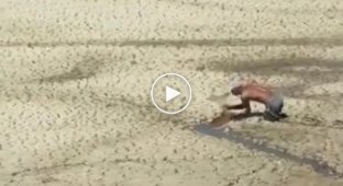 Спасение антилопы из песочного болота