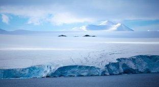 Какой вы не видели Антарктиду (16 фото)